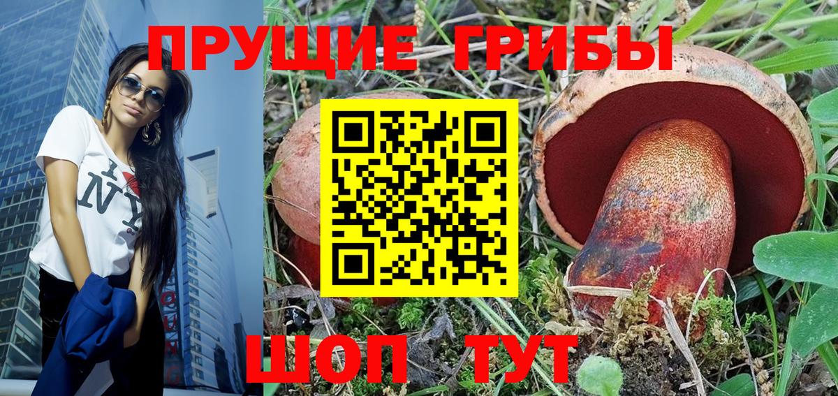 Псилоцибиновые грибы Cubensis Саянск